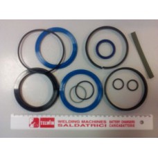 Ремонтный комплект манжет цилиндра тюльпана TR26 TC-10-1611200