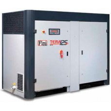 Компрессор винтовой без ресивера 23400 л/мин, Fini TERA SD 22010